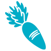 fibra